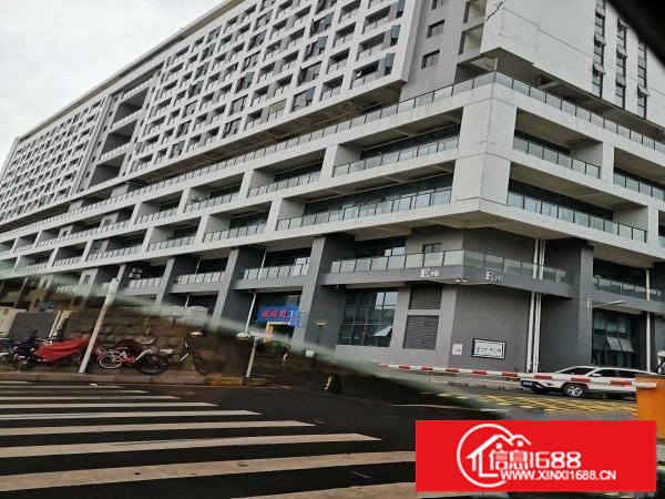 坪山新区聚龙山公园320平精装修可用电商贸易研发办公小型生产