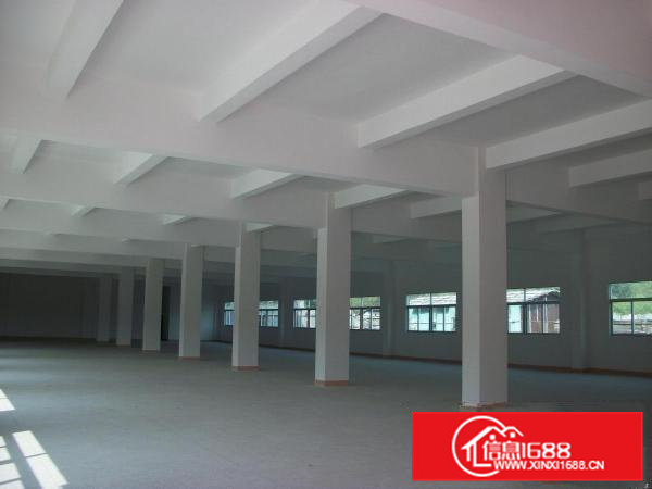 溪清近深圳一楼500到10000平方厂房出租分租