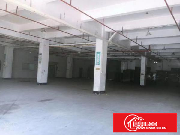 厂房出租500平方实量