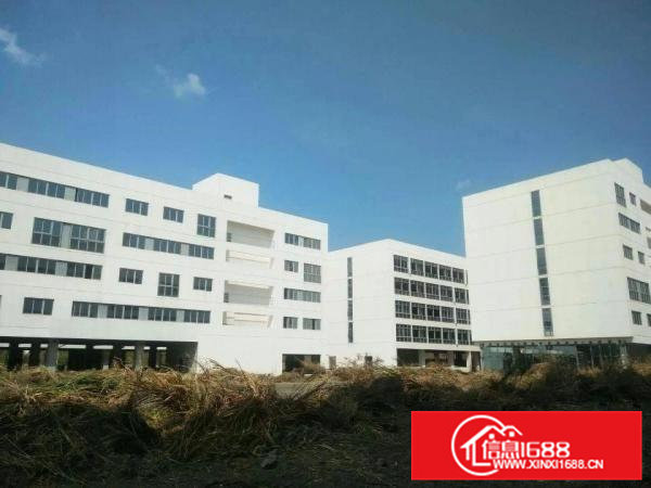 常平高速出口新出厂房1,5层18200，价格便宜