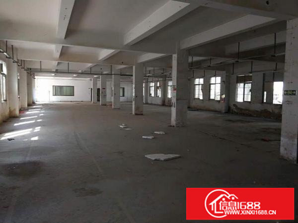 龙岗坪地坪东1楼厂房2200平米出租