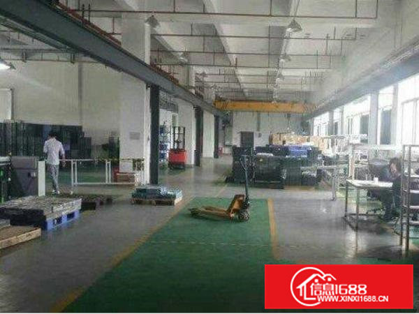 清溪刚空出一楼1600平米标准厂房出租可分租