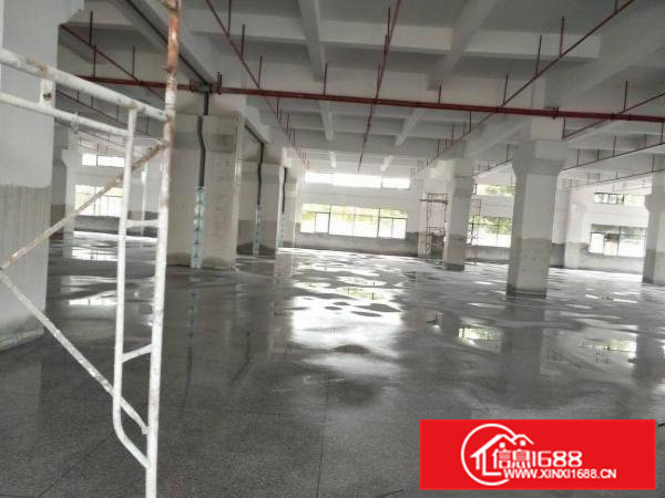 全新独门独院标准厂房出租共21000平方