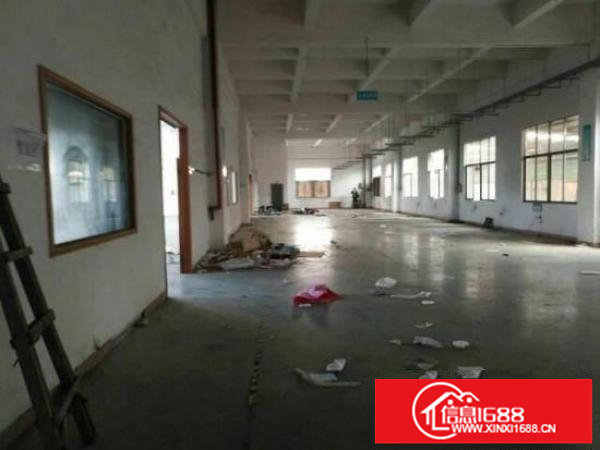 坪山碧岭新出原房东独院4500平米出租