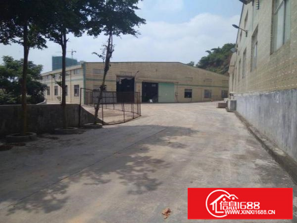 惠州秋长新出标准钢构厂房20000平方，滴水8米