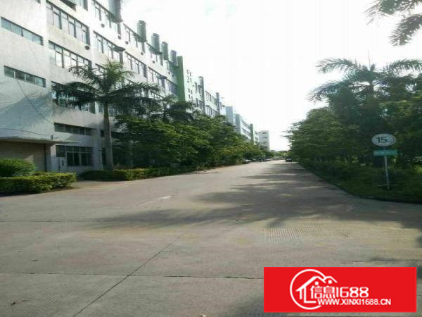 坪山坑梓3楼800平带装修现成办公水电招租