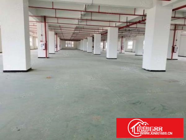 龙岗坂田原房东独院分租一楼1500平厂房出租空地大可做物流