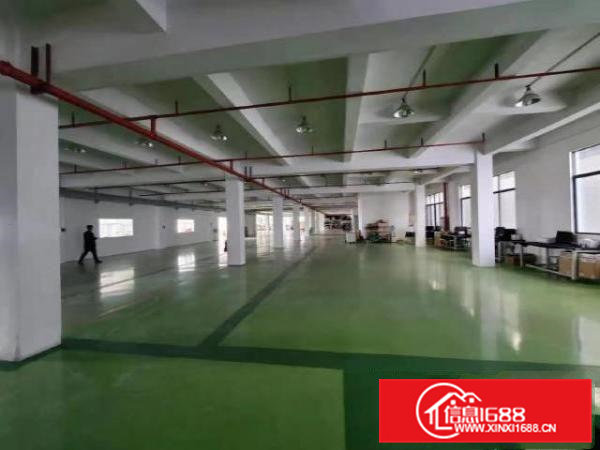 寮步带装修现成办公室