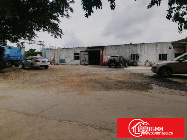 平湖华南城附近钢构厂房独院一楼300平米