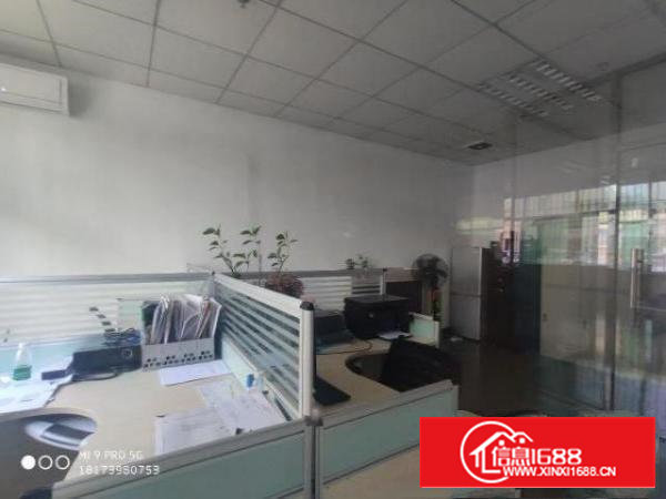 沙井新出300平带装修厂房