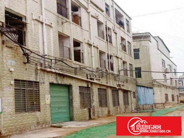 厂房招租一手房东招商独门独院办公食堂宿舍配套