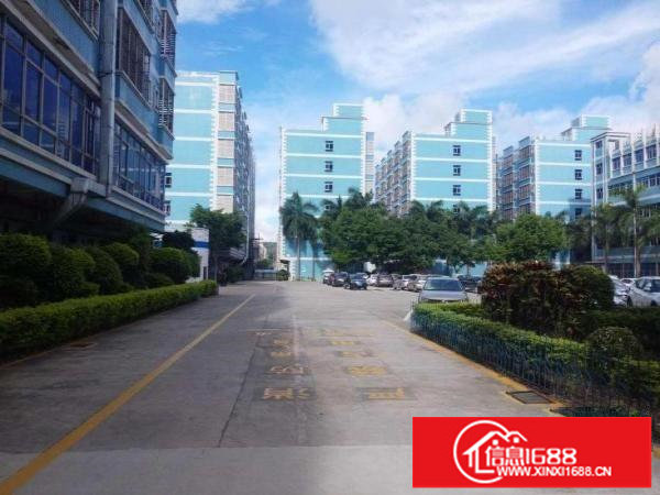 (优惠价)17.5元出租龙岗同乐原房东一楼1800平可分租