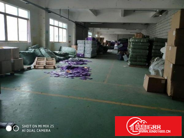 横岗独院厂房招租空地大