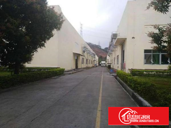 坪地年丰新出滴水9米钢构工业厂房2000平米起租（可办环评）