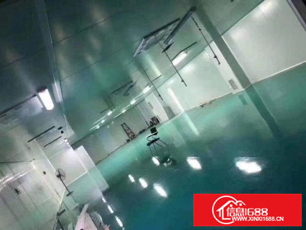 清溪高速路口原房东百级无尘车间2600平米出租500平起分租