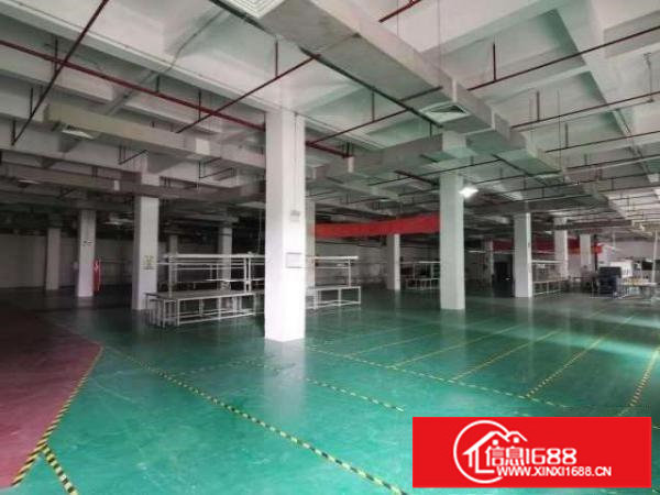 出租龙华区观澜20000平独栋厂房，气质形象佳