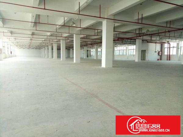 新出标准厂房一楼770方招租