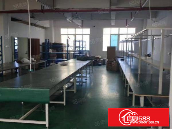 上沙新出楼上豪华装修420平厂房出租