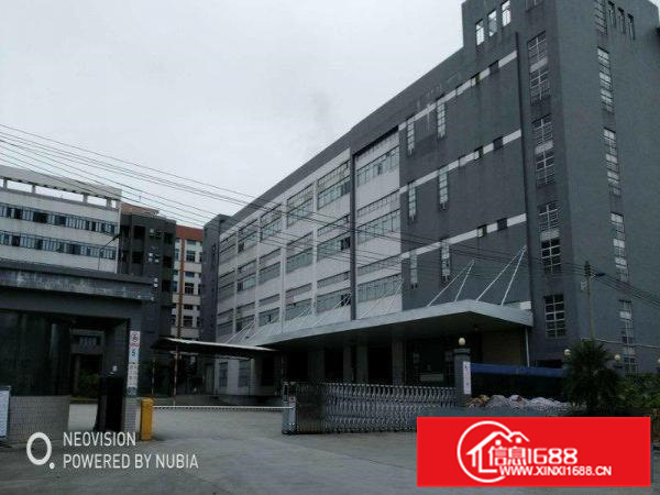 一手业主新出2500方独门独院厂房出租带办公空地大交通方便