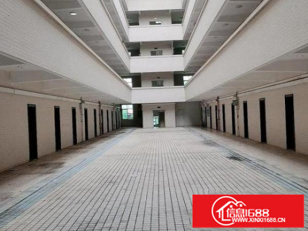 珠海市金湾区7280平独栋厂房出租带牛腿