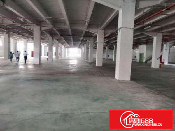 大量横岗仓储物流园出租1000-50000㎡