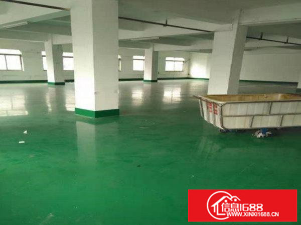 龙岗区坂田新出电商仓库590平出租急租整租