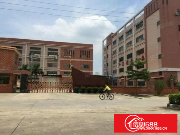 有证，可办环评，勒流标准独院厂房出租，可分租