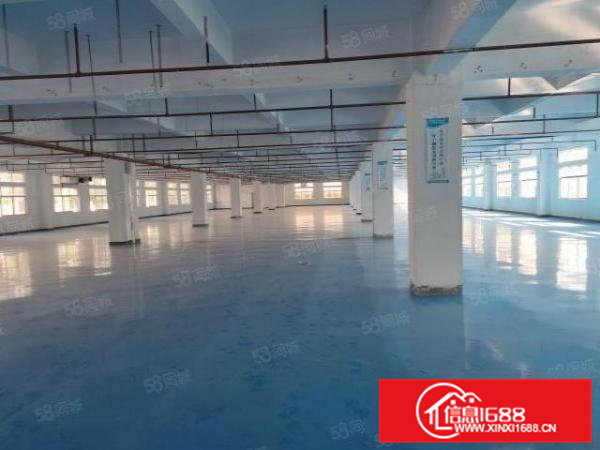 横沥镇工业集中区原房东独门独院标准厂房证件齐全能办环评