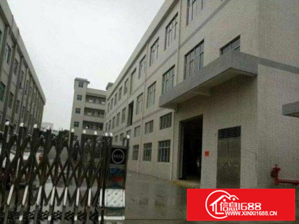 龙岗区龙岗大道空出一楼厂房1300平米带装修出租