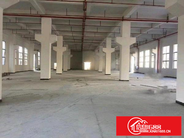 桥头桥头新出独院厂房5500厂房5500平米