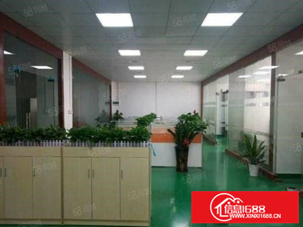 先到先得大朗洋乌4500平方标准独院厂房10元整租