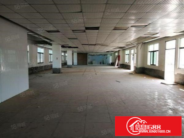 沙田原房东一楼高5.5米厂房招租无公摊精装修