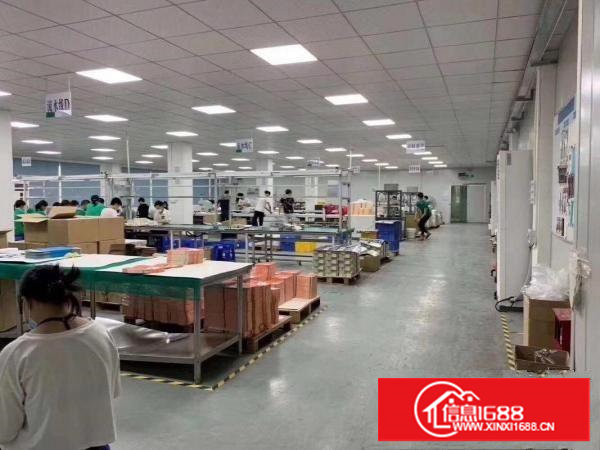 塘厦林村广场旁边精装修独栋厂房3900平方可分租