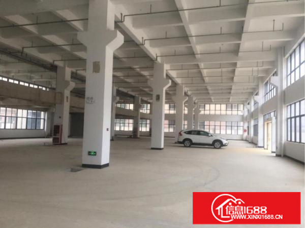 惠阳区三和全新红本标准厂房出租26000平方可分租