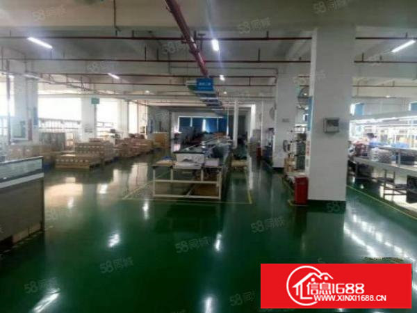 平湖华南城带红本电商园1800平方厂房出租,适合电商,研发等