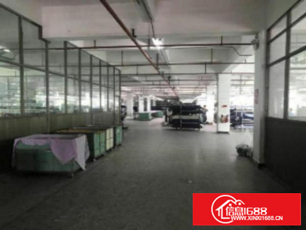 新出独院标准楼上2楼整层2700平方厂房带现成装修出租