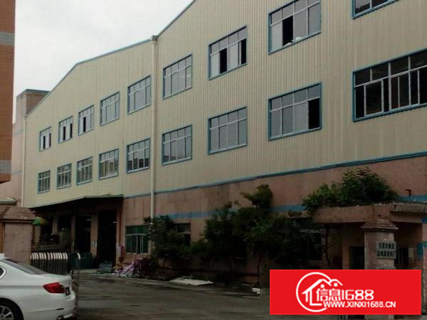 横沥镇新建钢构三层3000招租