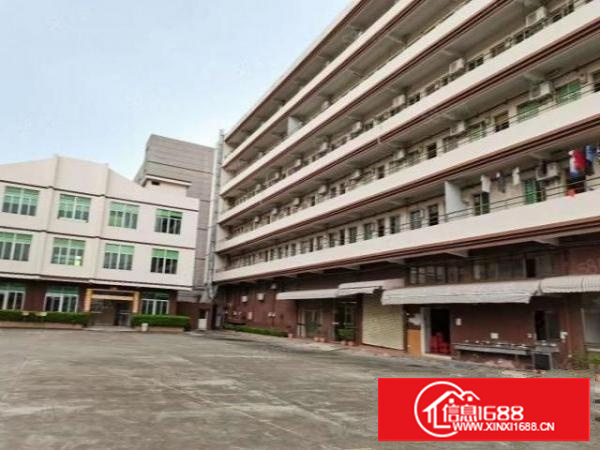 万江简沙洲靠港口大道环城路原房东标准独门独院，独立宿舍办公