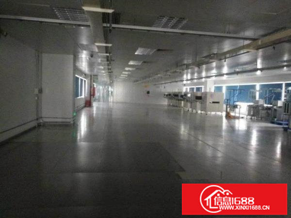 高新产业园带装修2230平双电梯坪山大工业区