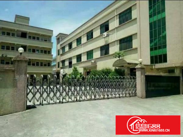 常平木伦（超大前台豪华装修）电商电子首选二楼650平