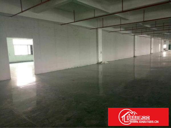 高埗镇冼沙原房东分租一楼2000平方