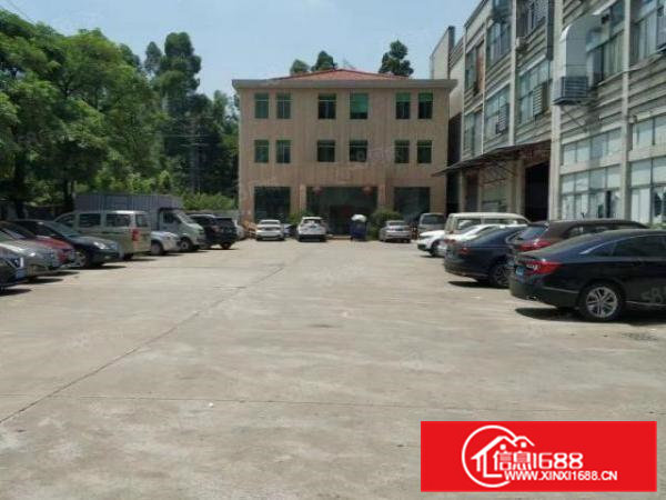 高埗低涌本地人厂房出租1500平方价格低到没朋友