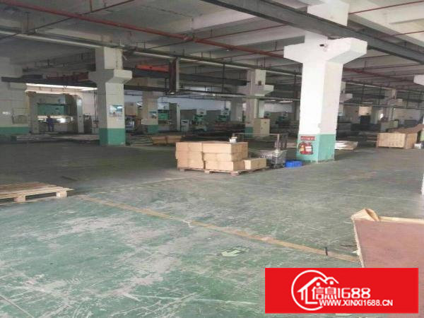 坪山新区新出7米标准一楼3350平方，红本，牛角