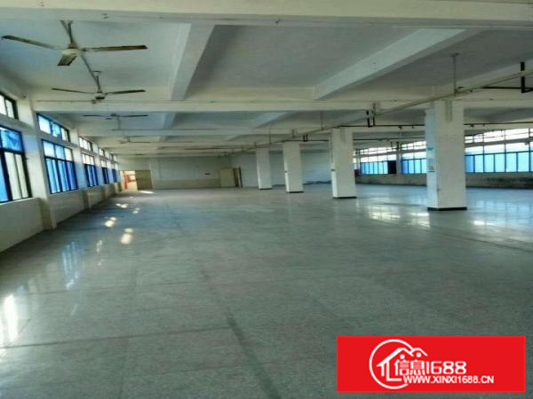 《可做污染》惠阳新圩新出可做污染独院厂房招租，电大