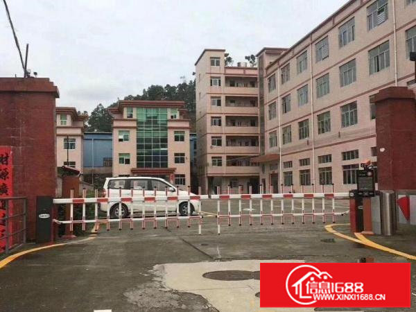 深圳龙岗形象好价格低红本厂房8000平整租单价14