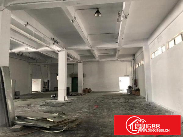 横岗新出一楼楼上300平500平，实业办公仓库加工