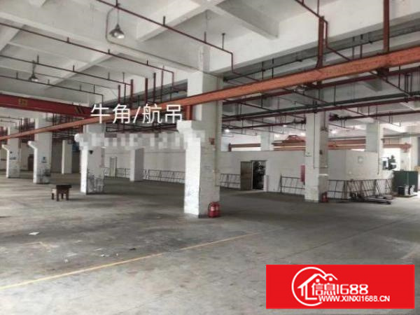 真实:观澜高新园区一楼厂房3000平方