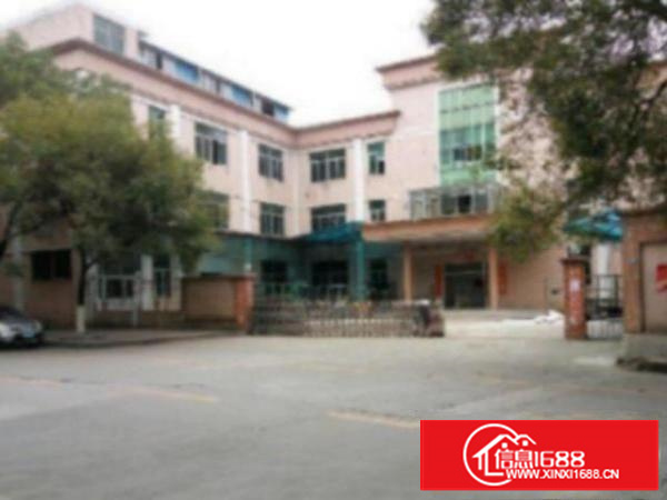 万江周边现有4500平方超靓标准独院厂房火爆招租啦