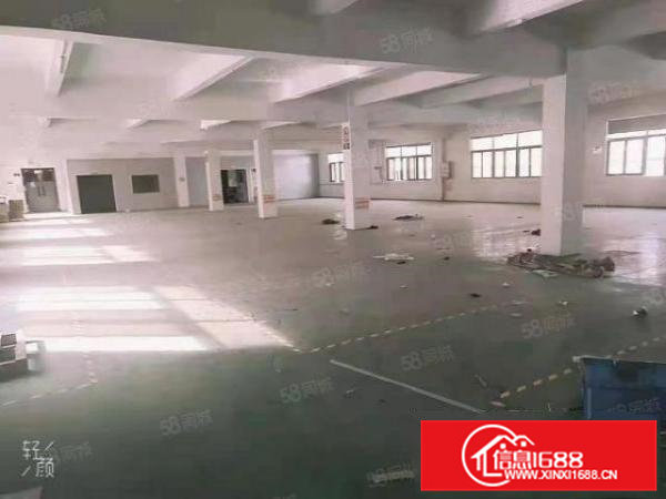 常平标准厂房四楼带装修出租