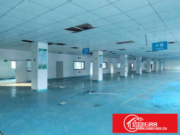 龙岗爱联原房东红本厂房300平到1400平出租